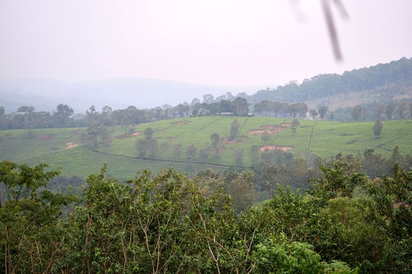 Landscape view from our grass-topped hut at Chimpanzee Lodge, Uganda