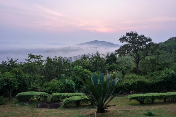 Landscape view from our grass-topped hut at Chimpanzee Lodge, Uganda