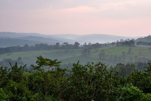 Landscape view from our grass-topped hut at Chimpanzee Lodge, Uganda