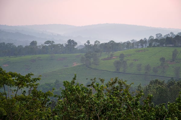 Landscape view from our grass-topped hut at Chimpanzee Lodge, Uganda