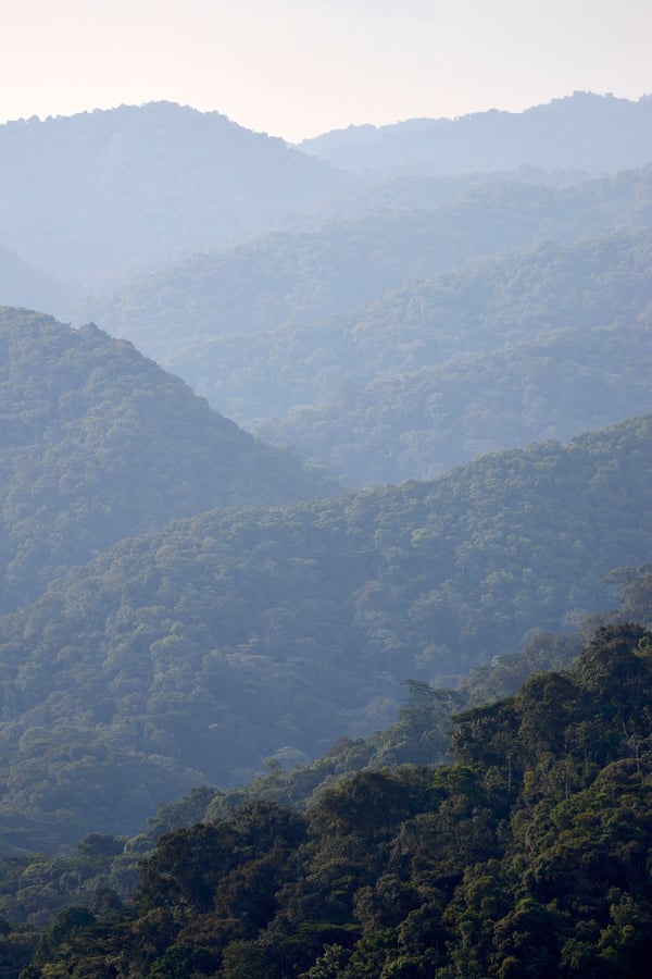 Rolling, layered hills landscape, Uganda
