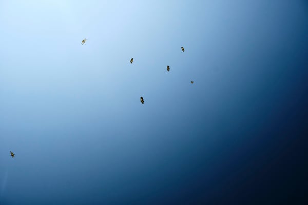 Chennai, India