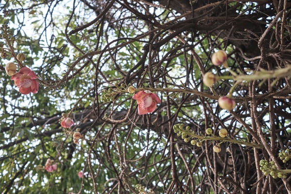 Chennai, India