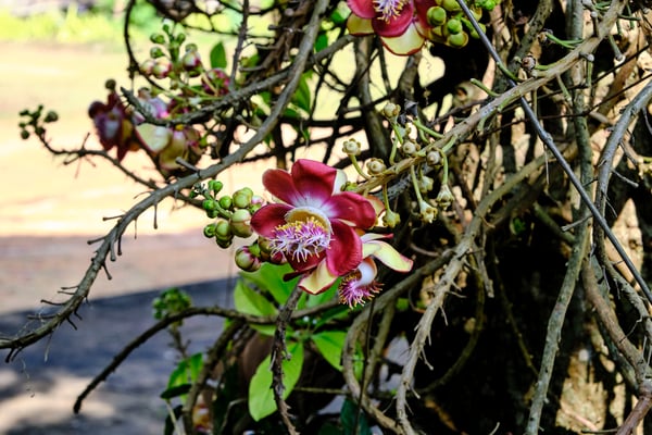 Kerala, India