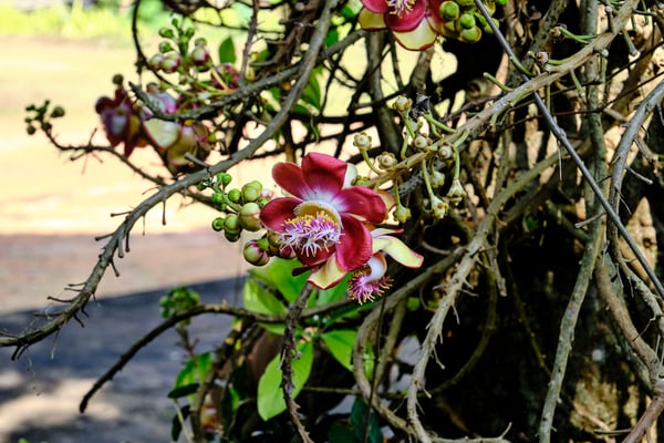 Kerala, India
