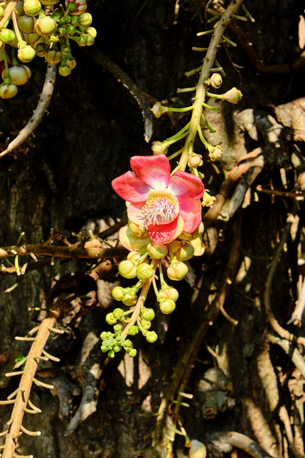 Kerala, India