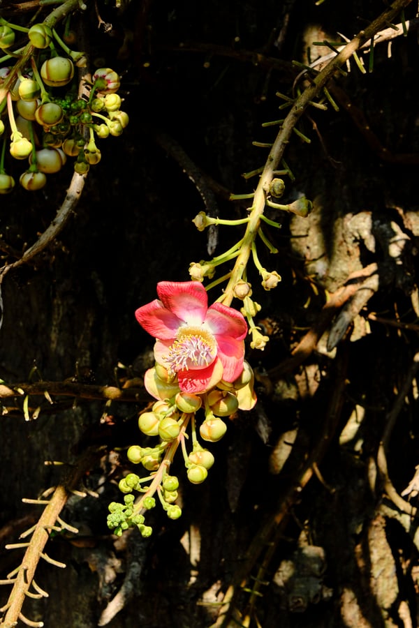 Kerala, India