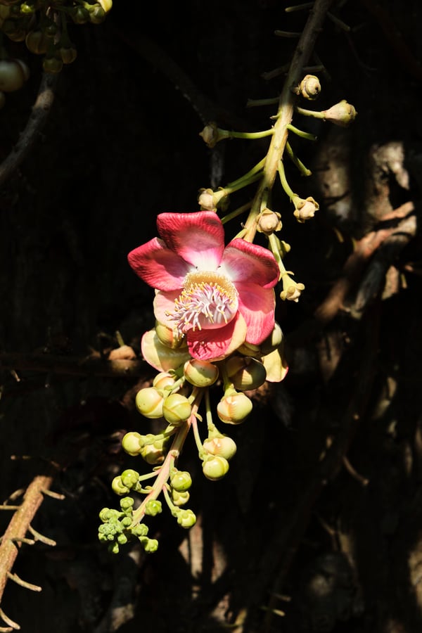 Kerala, India