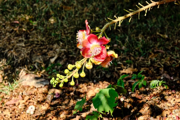 Kerala, India