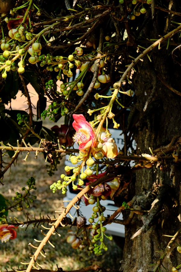 Kerala, India
