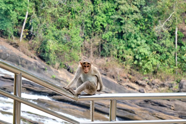 Kerala, India