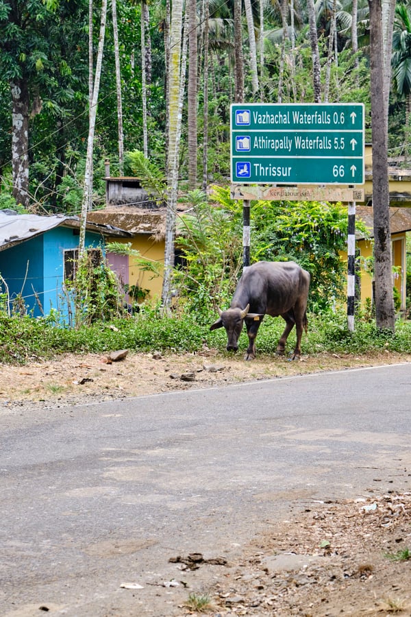 Kerala, India