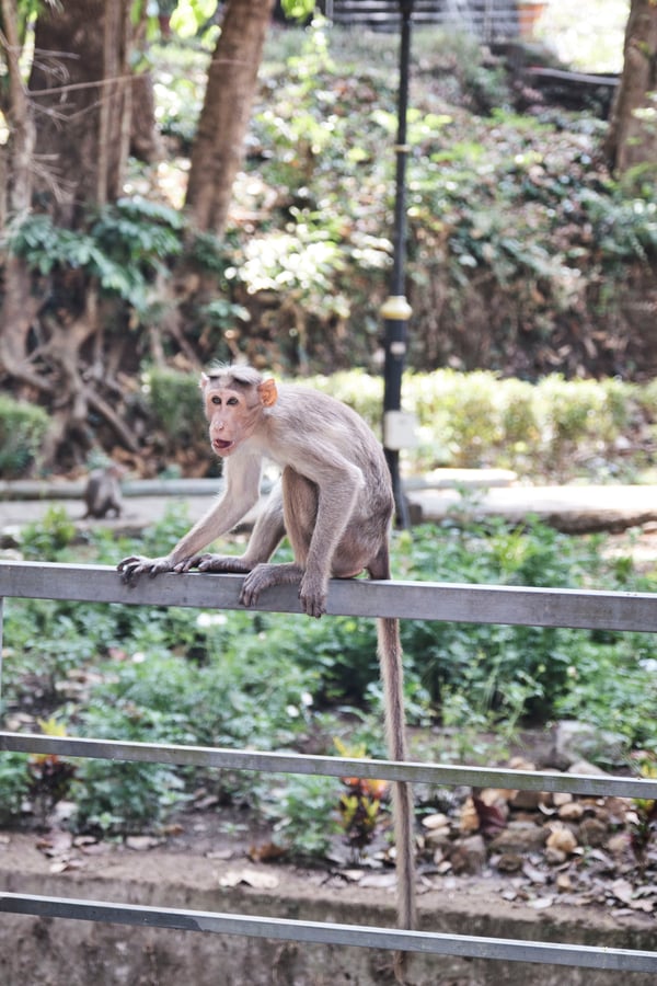 Kerala, India