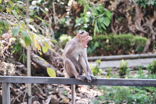 Kerala, India