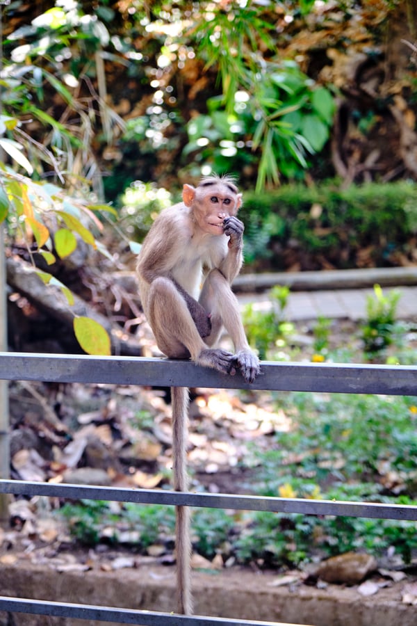 Kerala, India