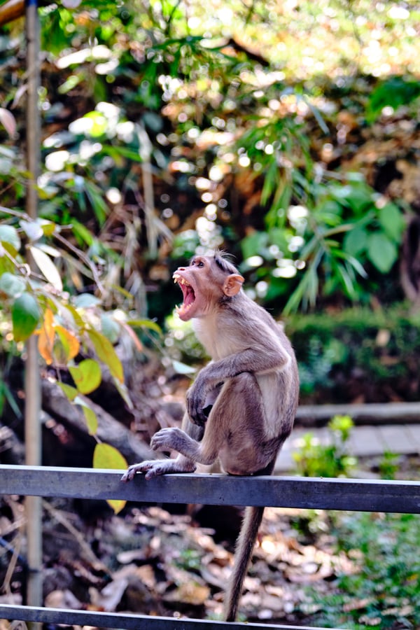 Kerala, India
