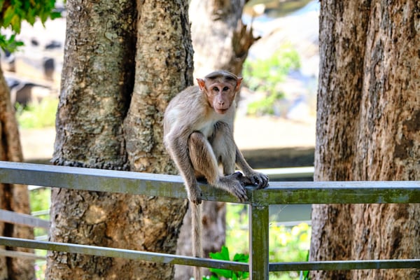 Kerala, India