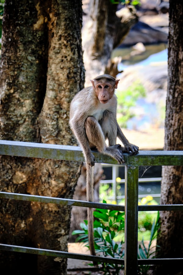 Kerala, India