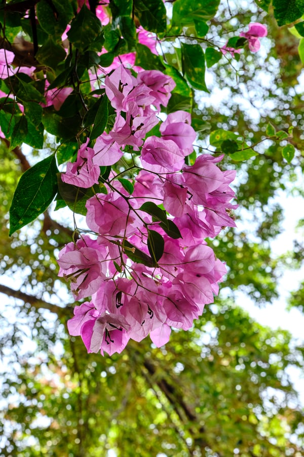 Kerala, India