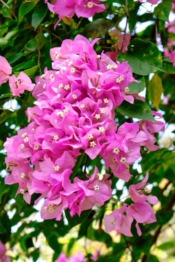 Kerala, India
