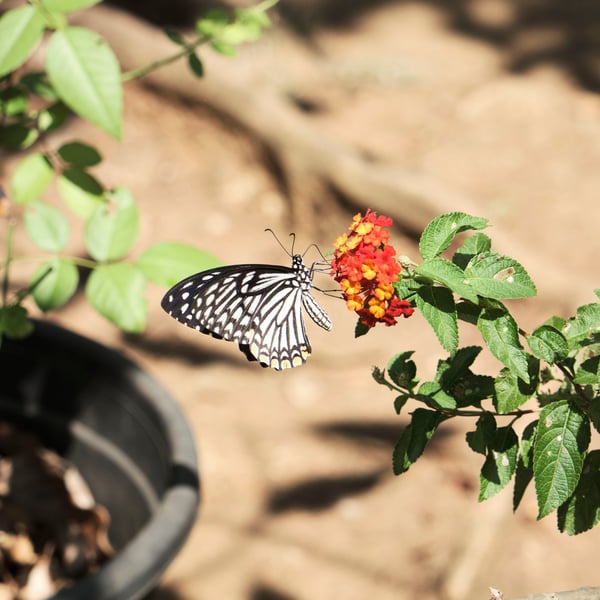 Kerala, India