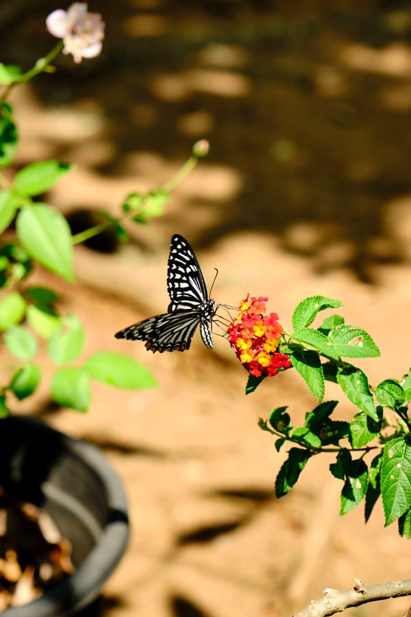 Kerala, India