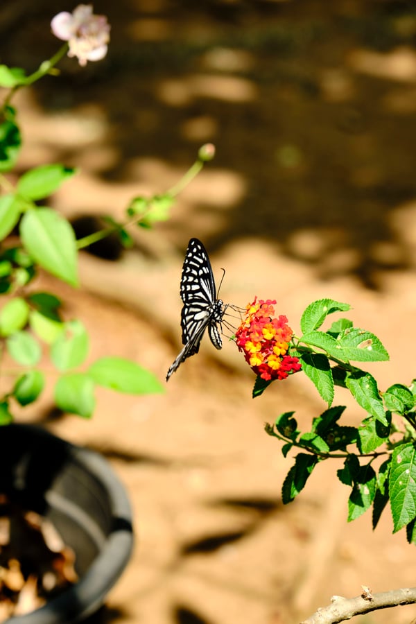 Kerala, India