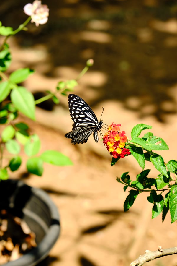Kerala, India