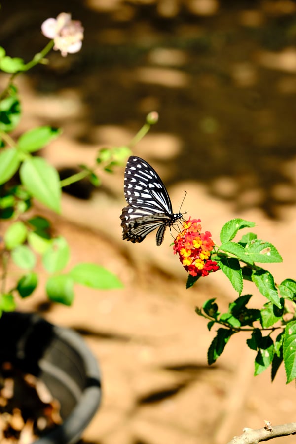 Kerala, India