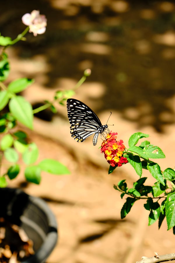 Kerala, India