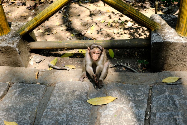 Kerala, India