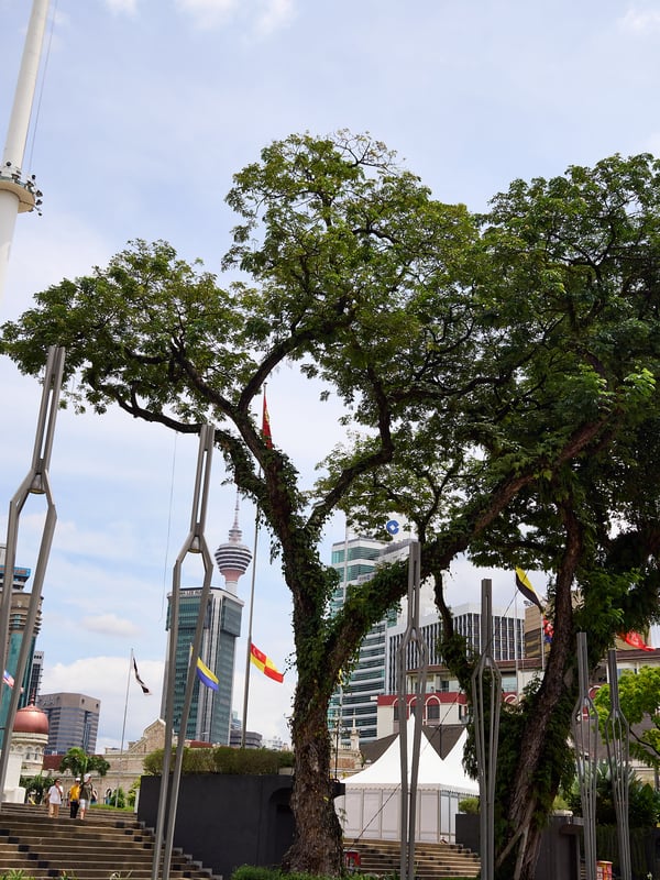 Park and city views, Kuala Lumpur, Malaysia