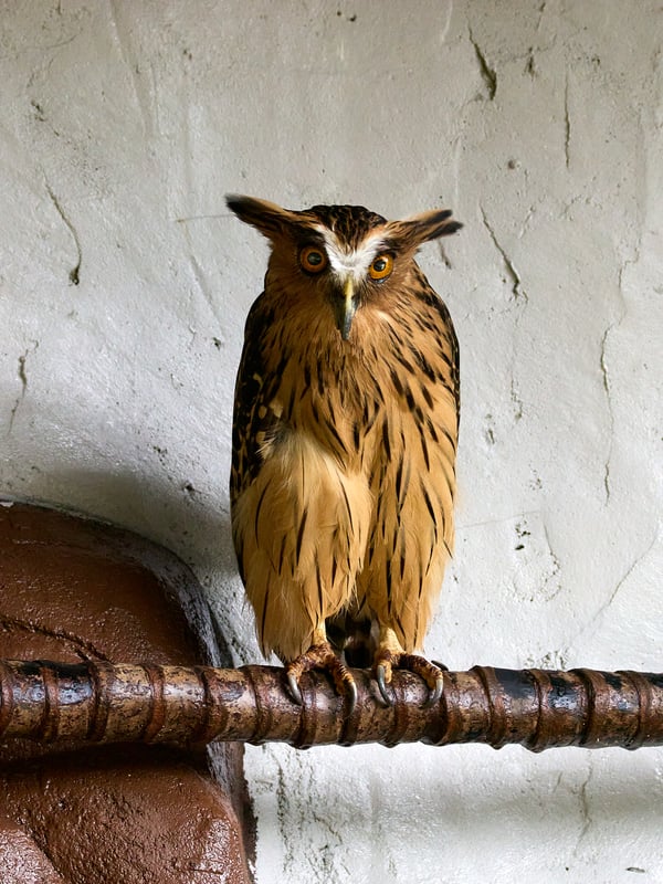 Bird Park, Kuala Lumpur, Malaysia