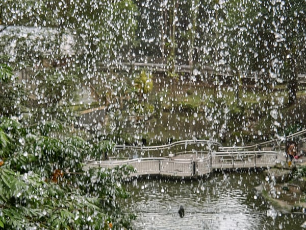 Bird Park, Kuala Lumpur, Malaysia