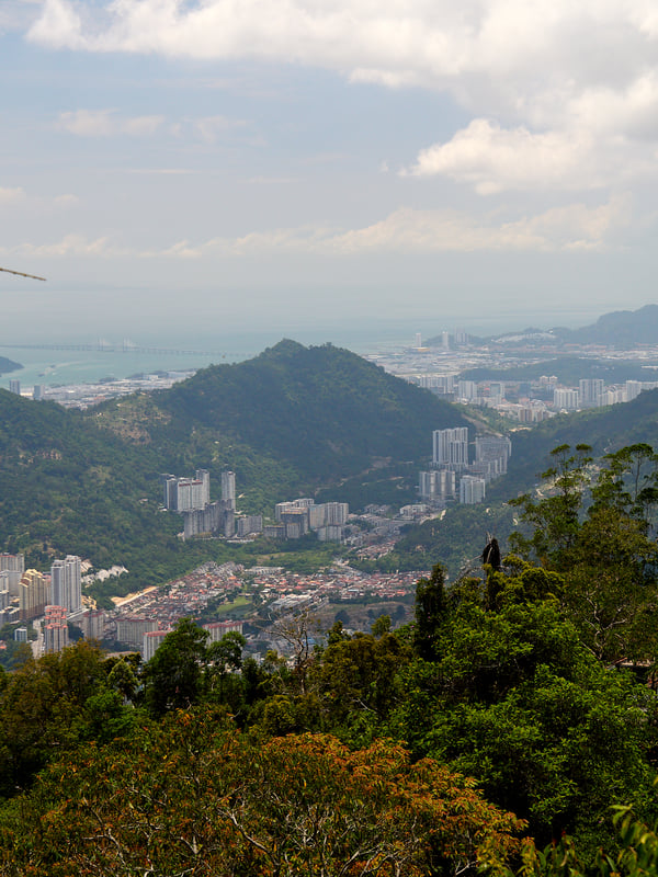 City view from the top of a 360 elevated walking track, The Habitat, Penang Hill, Penang, Malaysia