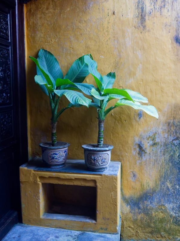 Exploring Hoi An, Vietnam