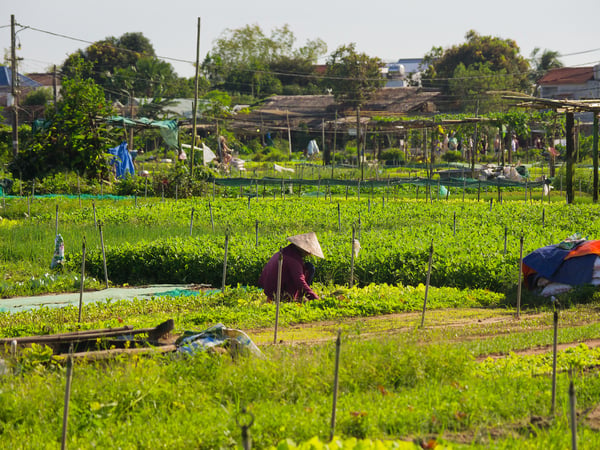 Exploring Hoi An, Vietnam