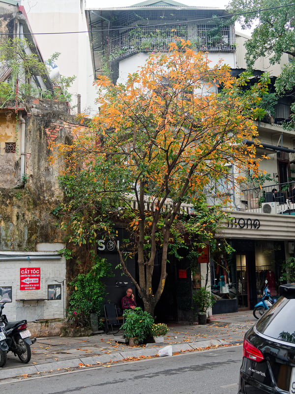 Street views walking around Ha Noi, Vietnam