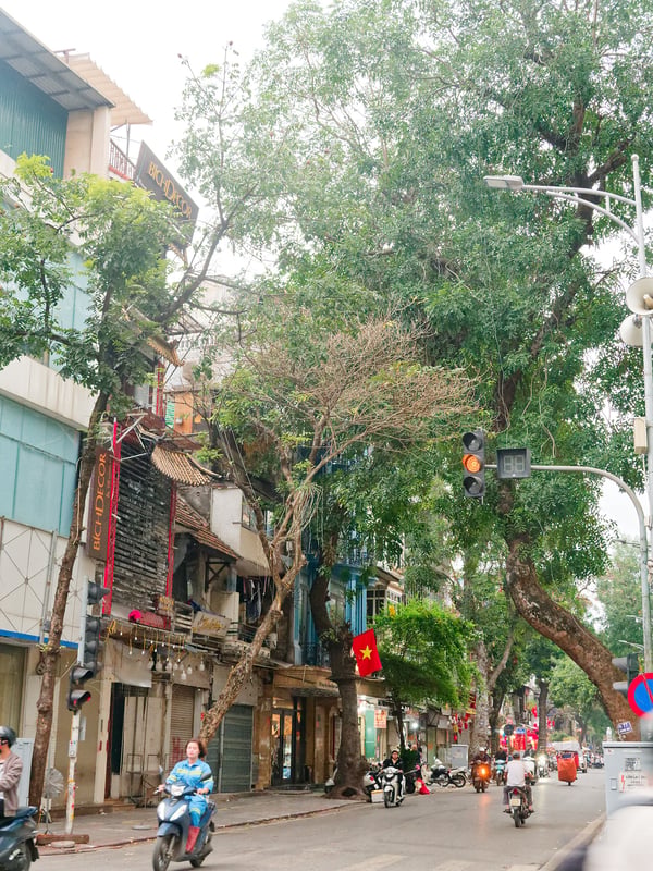 Street views, walking around Ha Noi, Vietnam