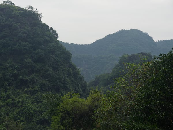 Tràng An, cliff/cave views from the boat, Ha Noi, Vietnam