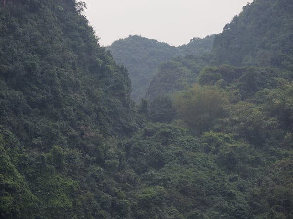 Tràng An, cliff/cave views from the boat, Ha Noi, Vietnam